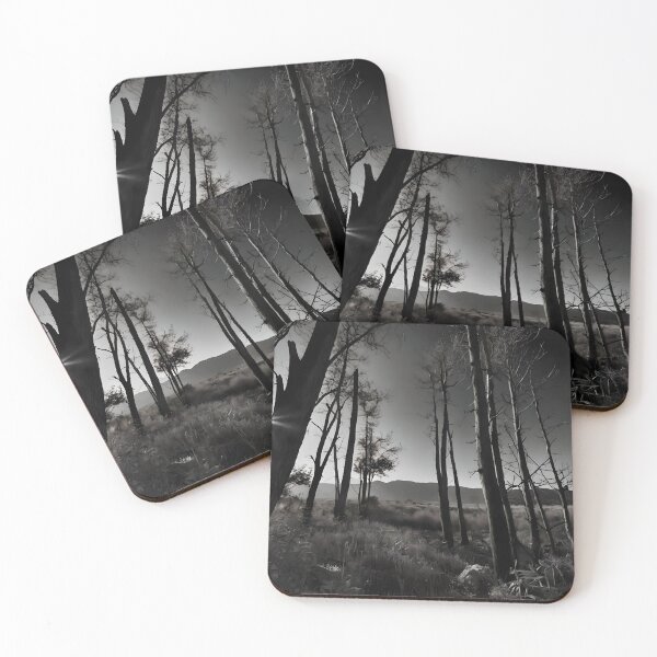 Item preview, Solitude Symphony: HDR Monochrome Wilderness designed and sold by ShadeScapeArt.