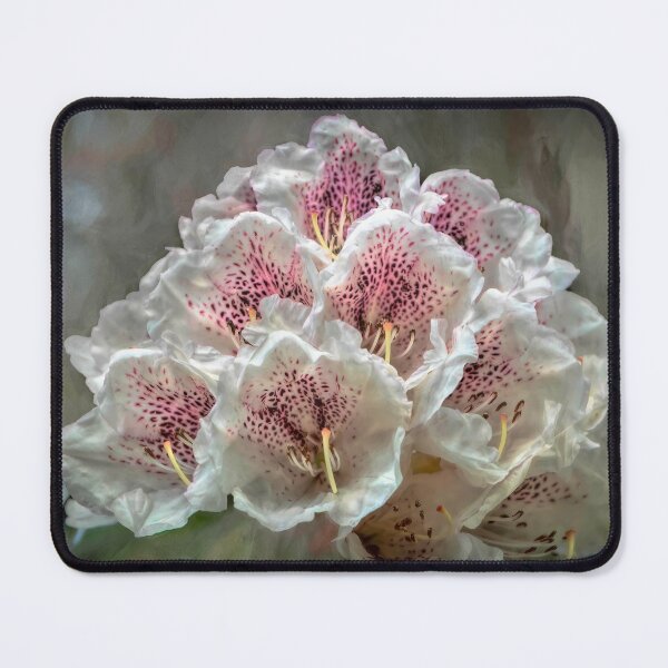 Item preview, Spring Bouquet designed and sold by Viv Thompson Photography .