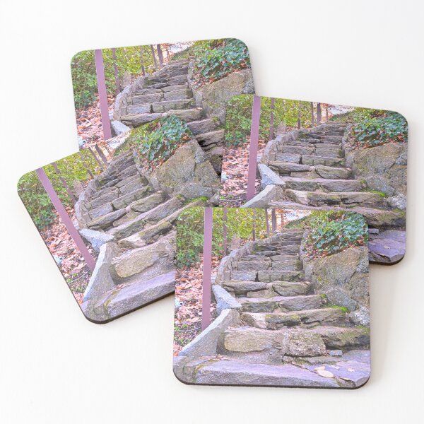 Item preview, Looking Up The Steps In Falls Park On The Reedy designed and sold by LisaWootenPhoto.