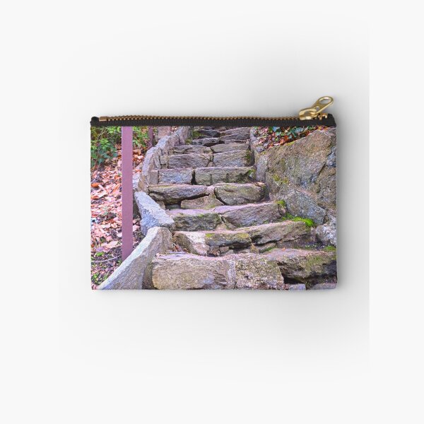Item preview, Looking Up The Steps In Falls Park On The Reedy designed and sold by LisaWootenPhoto.