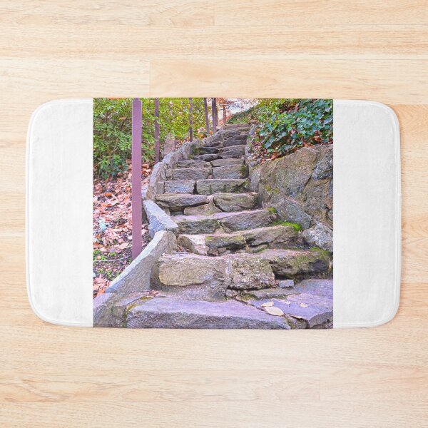 Item preview, Looking Up The Steps In Falls Park On The Reedy designed and sold by LisaWootenPhoto.