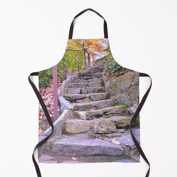 Item preview, Looking Up The Steps In Falls Park On The Reedy designed and sold by LisaWootenPhoto.