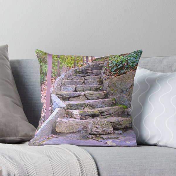 Item preview, Looking Up The Steps In Falls Park On The Reedy designed and sold by LisaWootenPhoto.