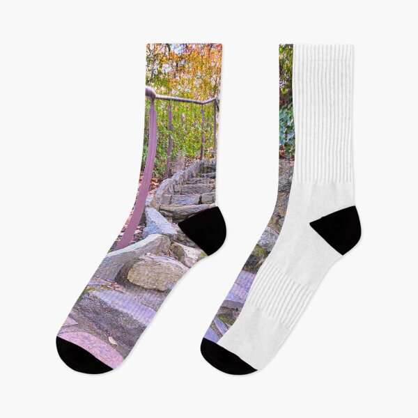 Item preview, Looking Up The Steps In Falls Park On The Reedy designed and sold by LisaWootenPhoto.
