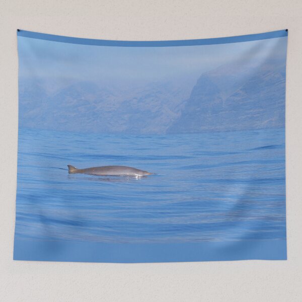 Item preview, Beaked whale in the mist designed and sold by Chloé Yzoard.