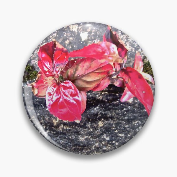 Item preview, Leaves growing on a bridge Derry designed and sold by Shulie1.