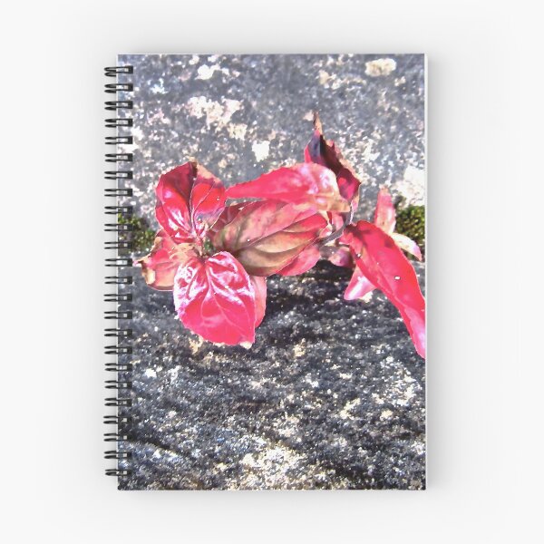 Item preview, Leaves growing on a bridge Derry designed and sold by Shulie1.
