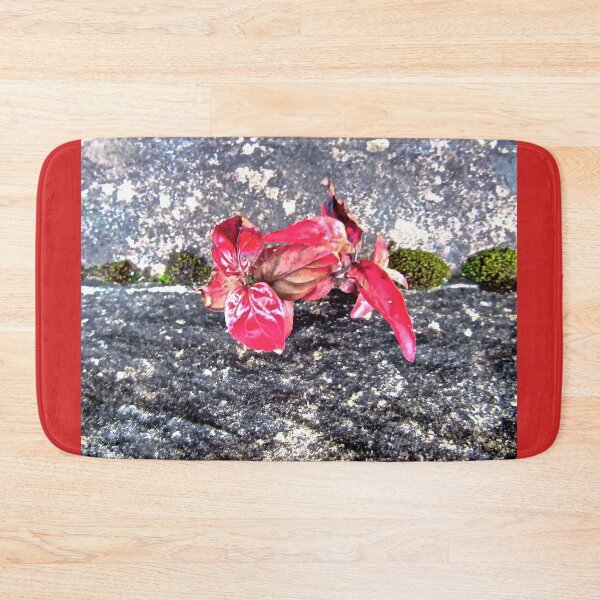 Item preview, Leaves growing on a bridge Derry designed and sold by Shulie1.