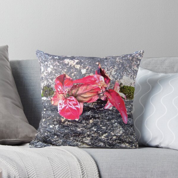 Item preview, Leaves growing on a bridge Derry designed and sold by Shulie1.