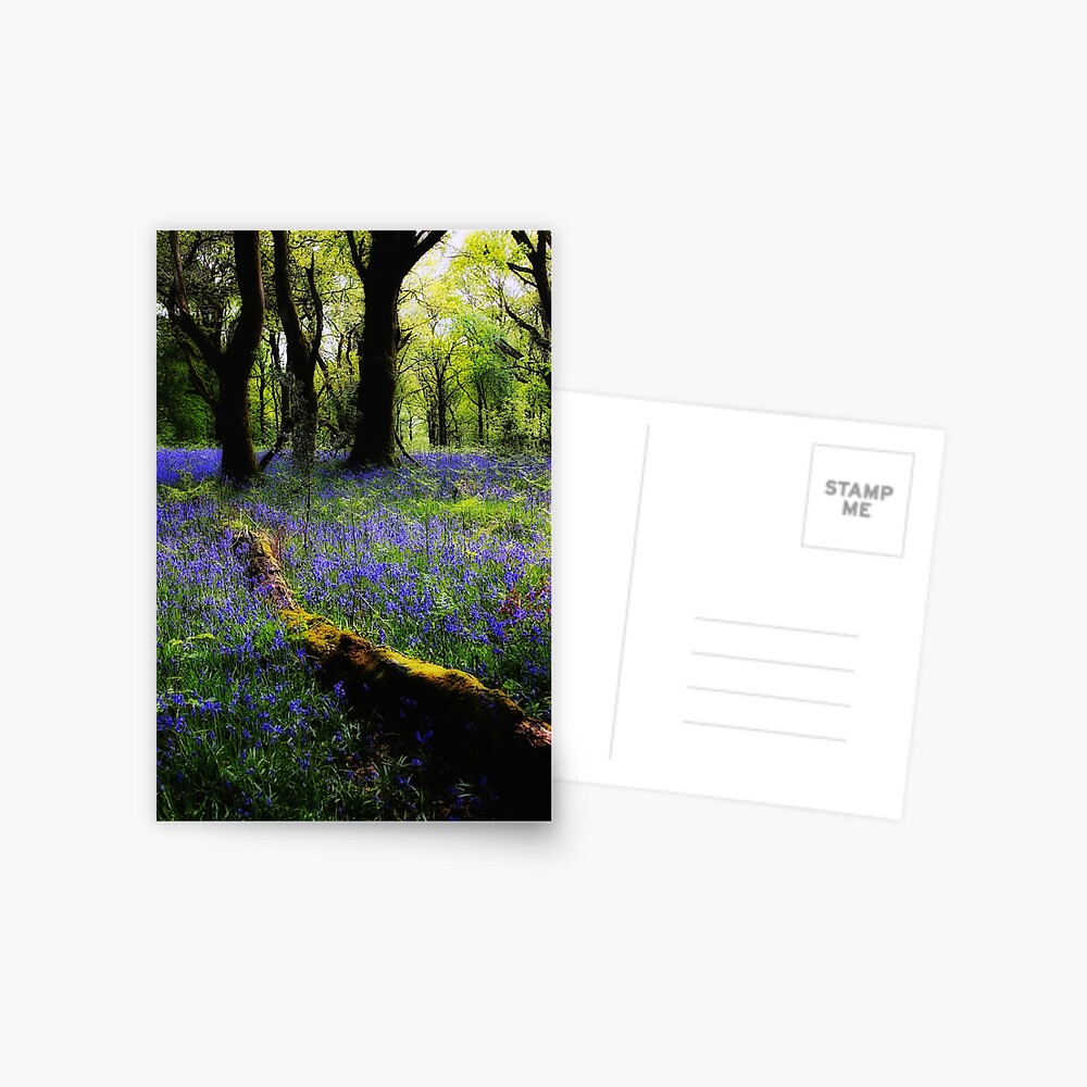 Item preview, Postcard designed and sold by Coigach.