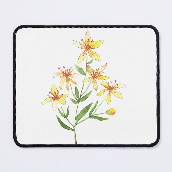 Item preview, St John's Wort Blossoms on branch| Watercolor Botanical Painting designed and sold by Kere123.