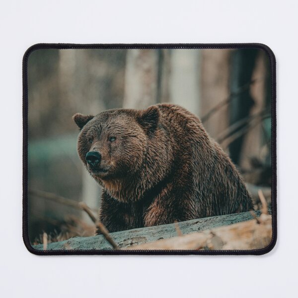 Item preview, BEAR designed and sold by DarkoK.