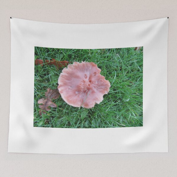 Item preview, Pretty Pink Fungus designed and sold by lezvee.