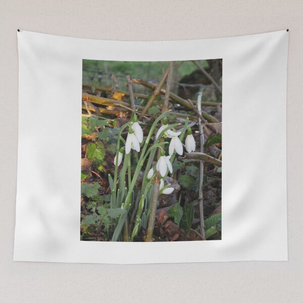 Item preview, Snowdrops In The Lane  (Galanthus) designed and sold by lezvee.