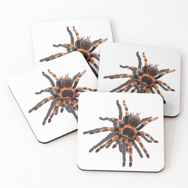 Item preview, Spider designed and sold by Sotegawa.