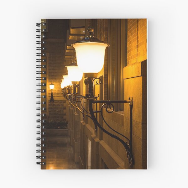 Item preview, Perspective Study - Elegant Glass Brass and Iron Wall Sconces Left designed and sold by Georgia Mizuleva.