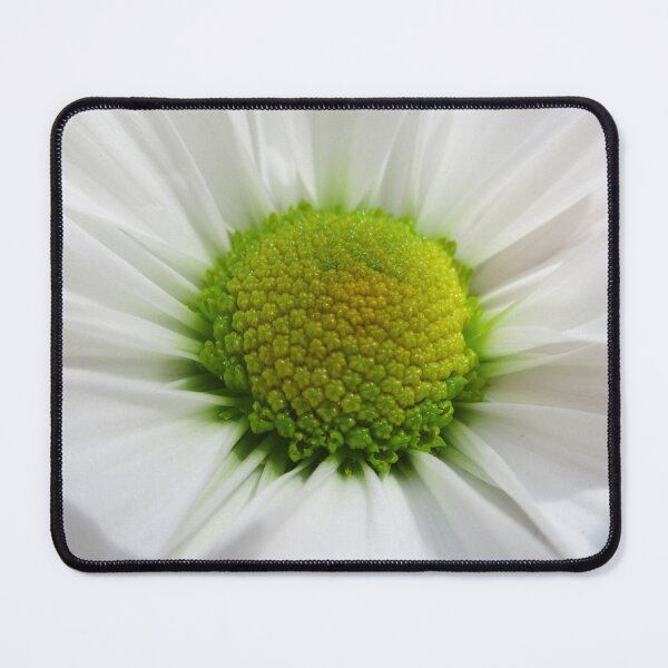 Aperçu de l'œuvre Marguerite blanche avec centre vert et jaune créée et vendue par HeWritesWLight.