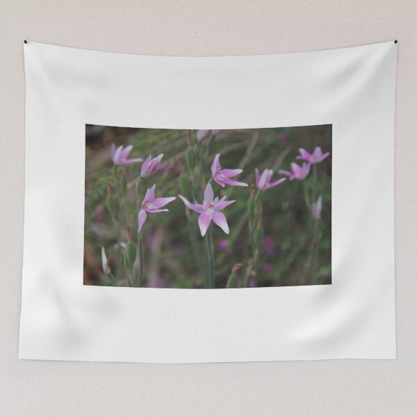 Item preview, Pink Fairy Orchids - Caladenia latifolia  designed and sold by lezvee.