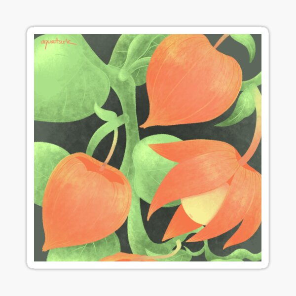 Item preview, Ground Cherries designed and sold by aquatark.