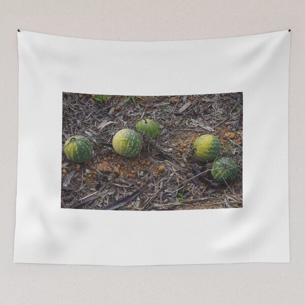 Item preview, Citrullus lanatus, Pig Melons designed and sold by lezvee.