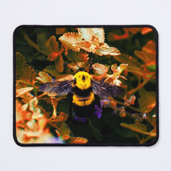 Item preview, Carpenter Bee designed and sold by MartianTech.