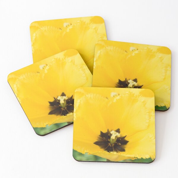 Item preview, Tulipa 'Crystal Star' Fringed Tulip designed and sold by Chris Burrows.