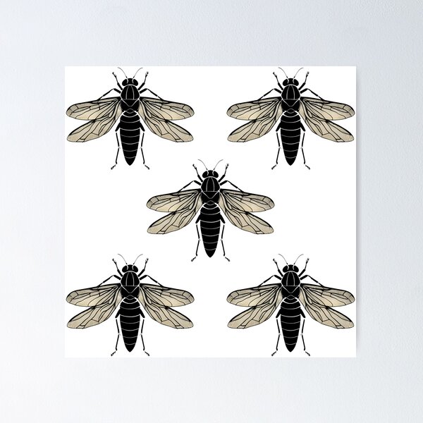 Item preview, Cicada lover Insect collector entomology is my hobby designed and sold by AlchemyColor.