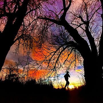 Artwork thumbnail, Connie's Sunrise Run by nikongreg