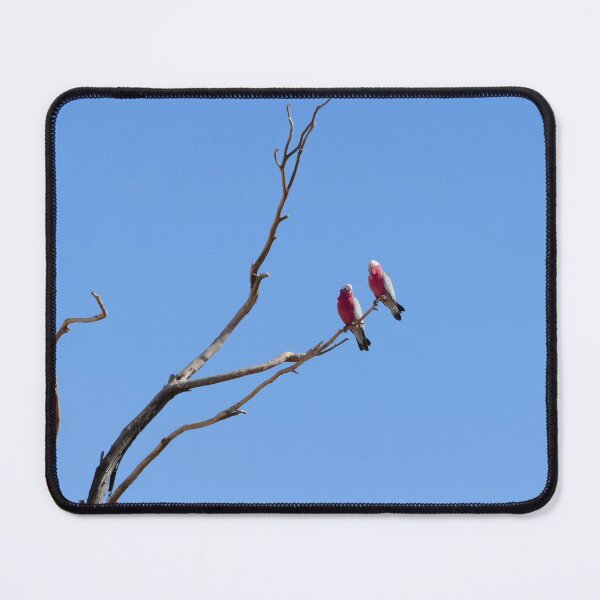 Item preview, Two Pink Galahs designed and sold by jaynerushton.