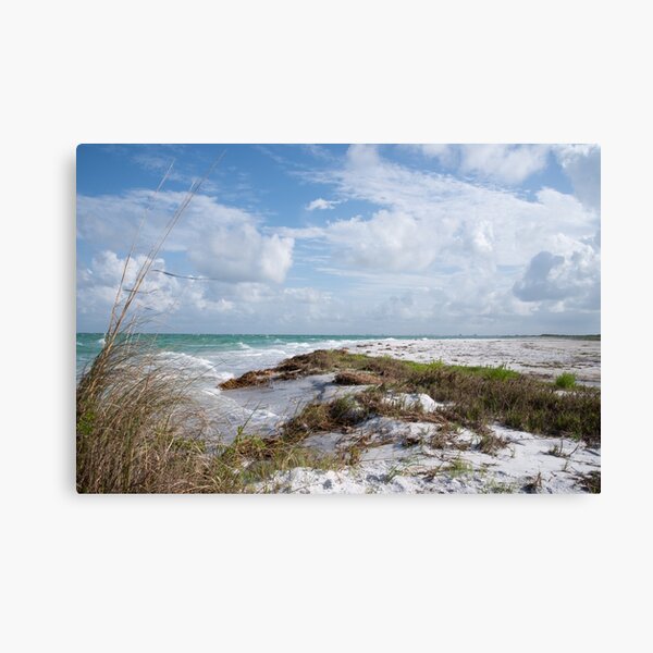 Item preview, Ft. DeSoto Park, Florida designed and sold by InhumanImaging.