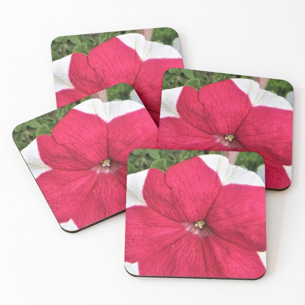 Item preview, double layer flower red and white in the garden  designed and sold by sadeek1021953Ss.