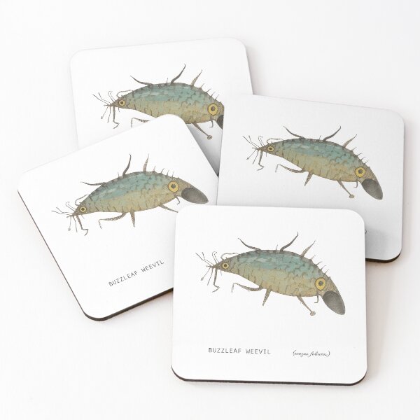 Item preview, Buzzleaf Weevil (ronzus foliatus) designed and sold by WhiskerWish.