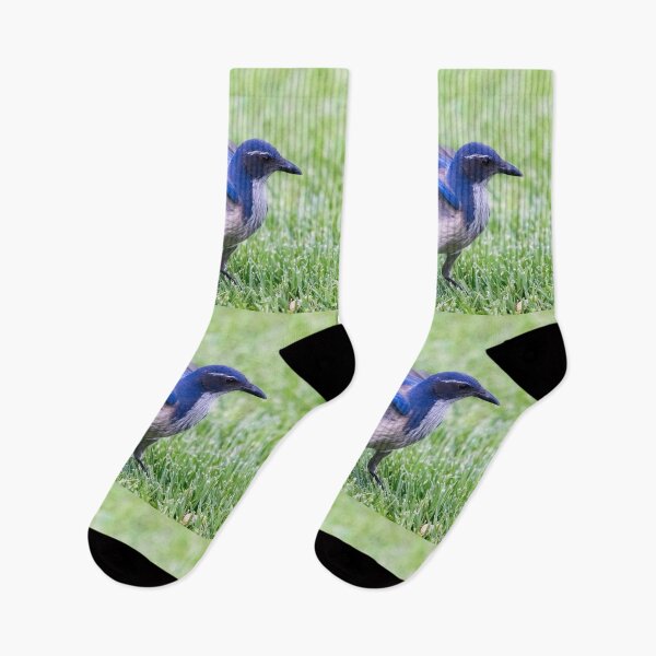 Item preview, California Scrub Jay Showing Off Its Wings  designed and sold by CarolM.