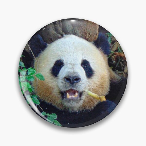 Item preview, Giant Panda, China designed and sold by AussieAl.