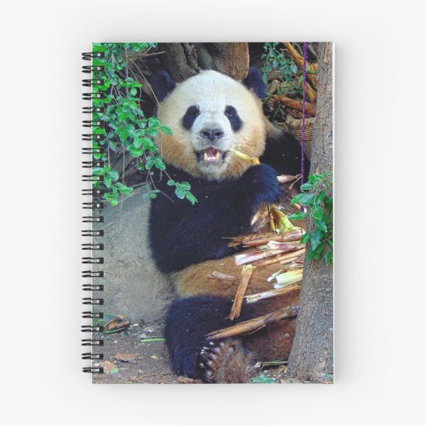 Item preview, Giant Panda, China designed and sold by AussieAl.