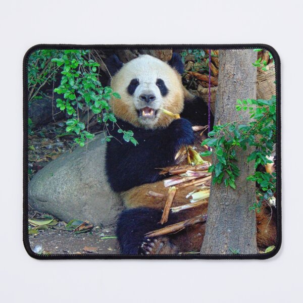 Item preview, Giant Panda, China designed and sold by AussieAl.