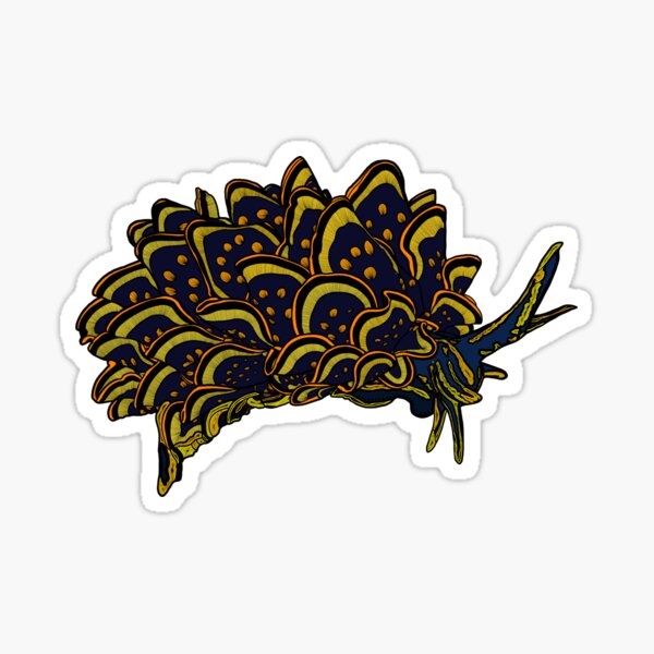 Item preview, Peacock Nudibranch designed and sold by ArtbyDLP.
