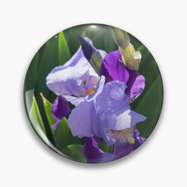 Item preview, Sunlit Bi-color Purple Irises in a Lush Green Garden designed and sold by Georgia Mizuleva.