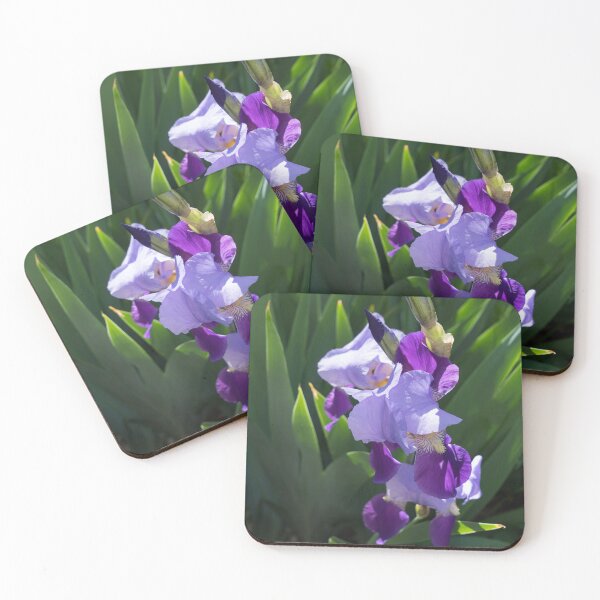 Item preview, Sunlit Bi-color Purple Irises in a Lush Green Garden designed and sold by Georgia Mizuleva.