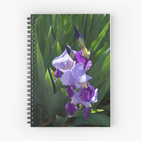 Item preview, Sunlit Bi-color Purple Irises in a Lush Green Garden designed and sold by Georgia Mizuleva.