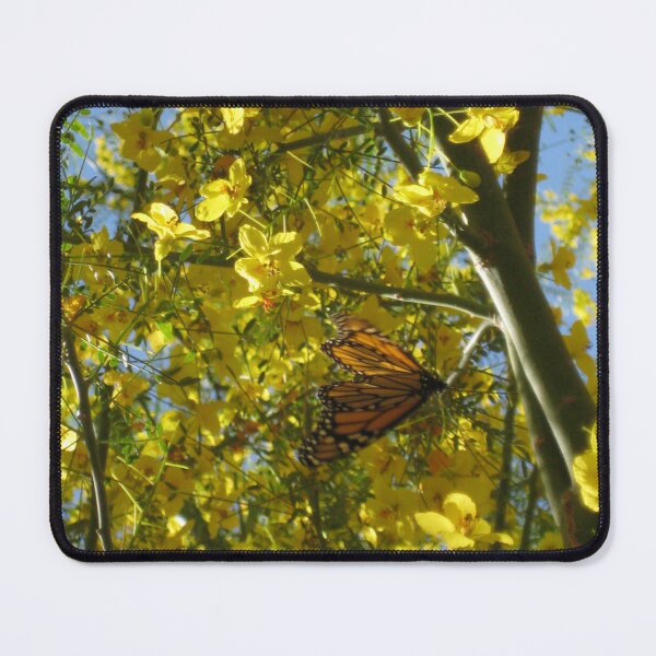 Item preview, Palo Verde Tree Blooming Yellow with Monarch Butterfly designed and sold by JoyousArt4u.