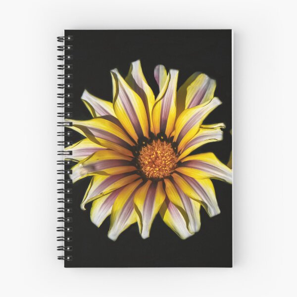 Item preview, Double Sunshine designed and sold by heatherfriedman.