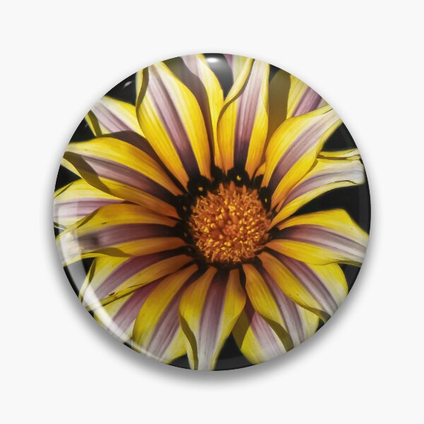 Item preview, Double Sunshine designed and sold by heatherfriedman.