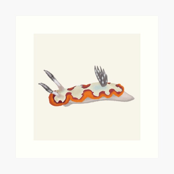 Item preview, Nudibranch - sea slug - goniobranchus-fidelis designed and sold by Poulpimousse.