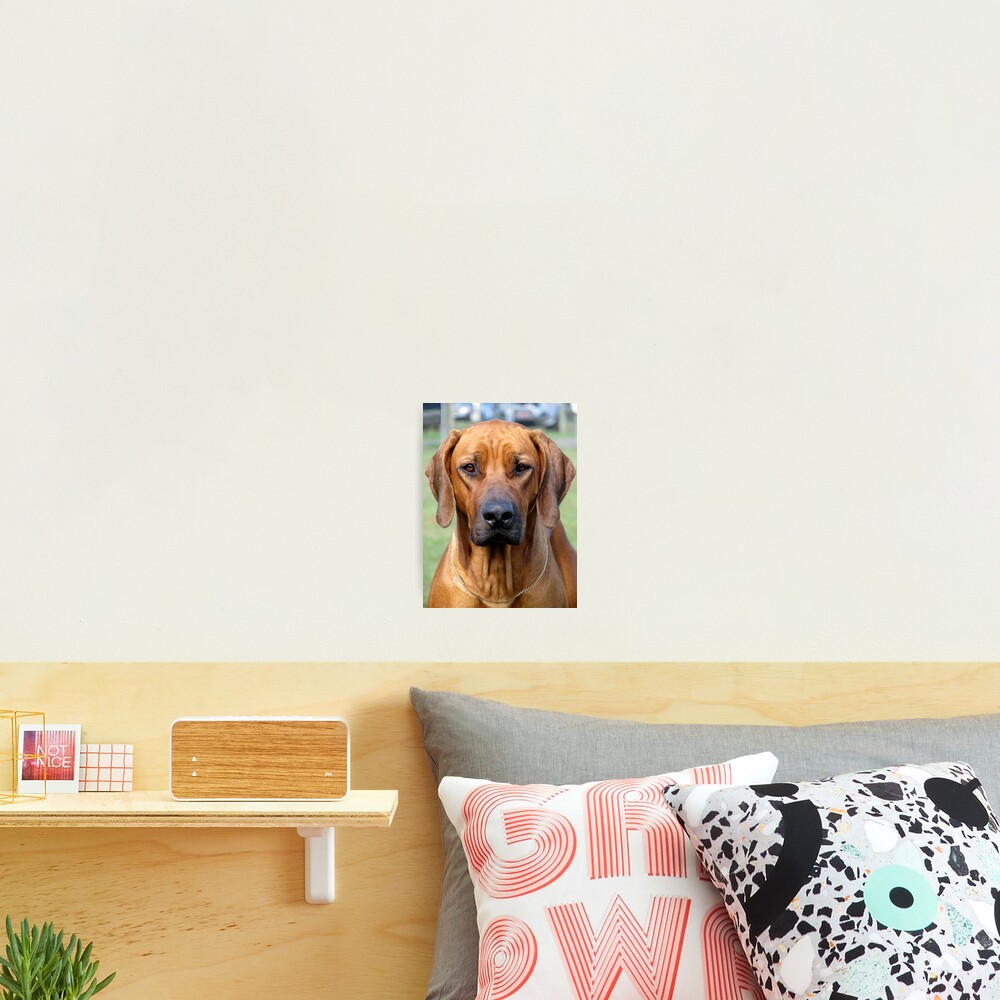 Item preview, Photographic Print designed and sold by RobertJenner.