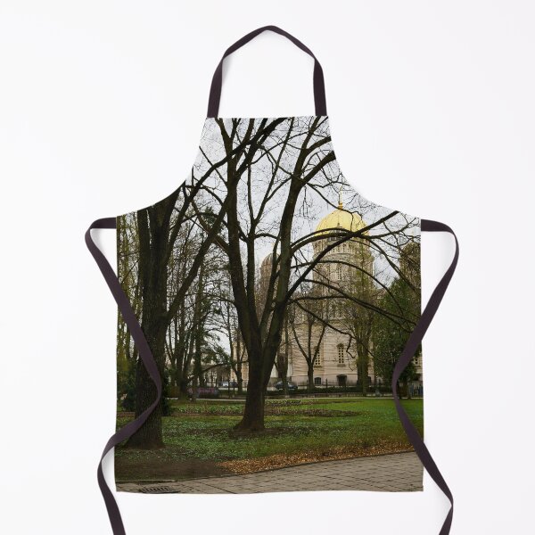 Item preview, Nativity Of Christ Cathedral from the park. Riga 2024 designed and sold by Jouko Lehto Photography.