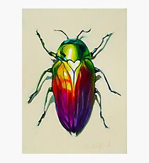 Love Bug Photographic Print