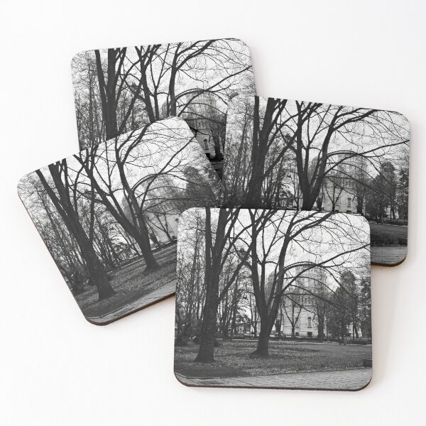 Item preview, Nativity Of Christ Cathedral from the park. Riga 2024 bw designed and sold by Jouko Lehto Photography.