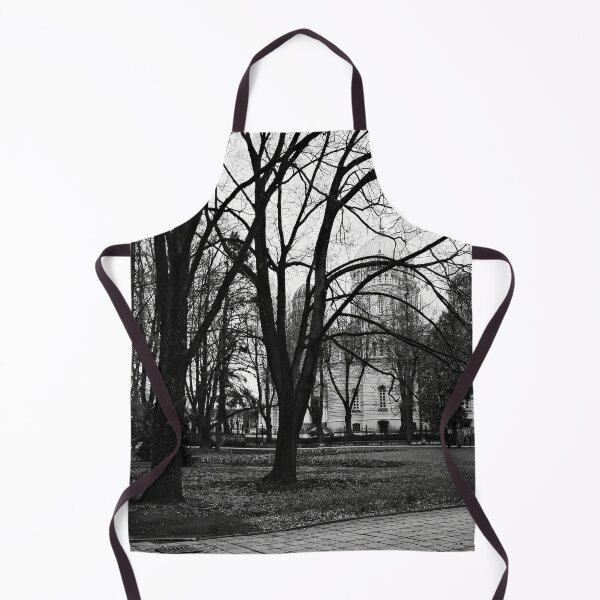 Item preview, Nativity Of Christ Cathedral from the park. Riga 2024 bw designed and sold by Jouko Lehto Photography.