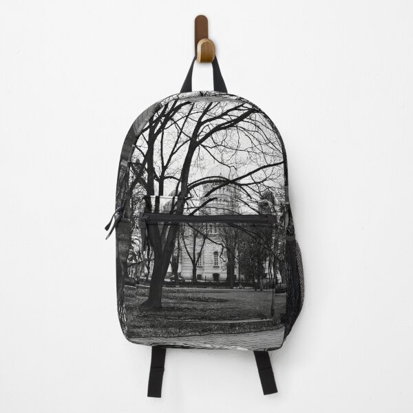 Item preview, Nativity Of Christ Cathedral from the park. Riga 2024 bw designed and sold by Jouko Lehto Photography.